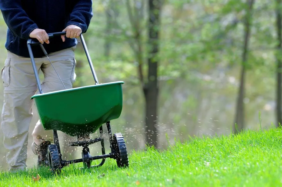 fertilizer.webp